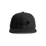 The More I Like My Horse